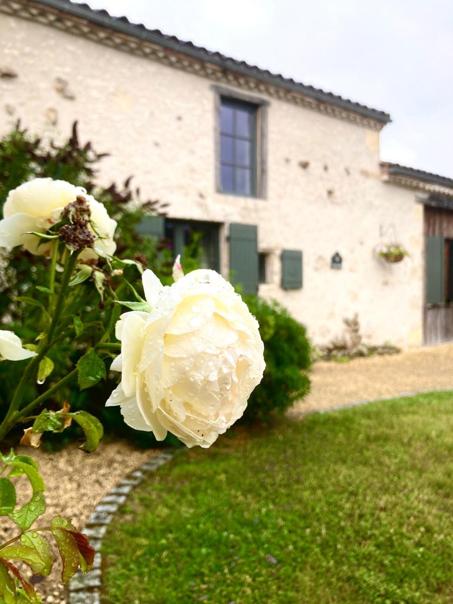 La Ferme Buissonniere Bardou Exterior foto