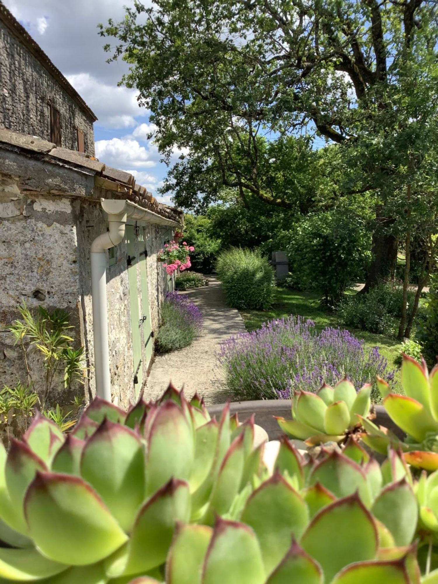 La Ferme Buissonniere Bardou Exterior foto